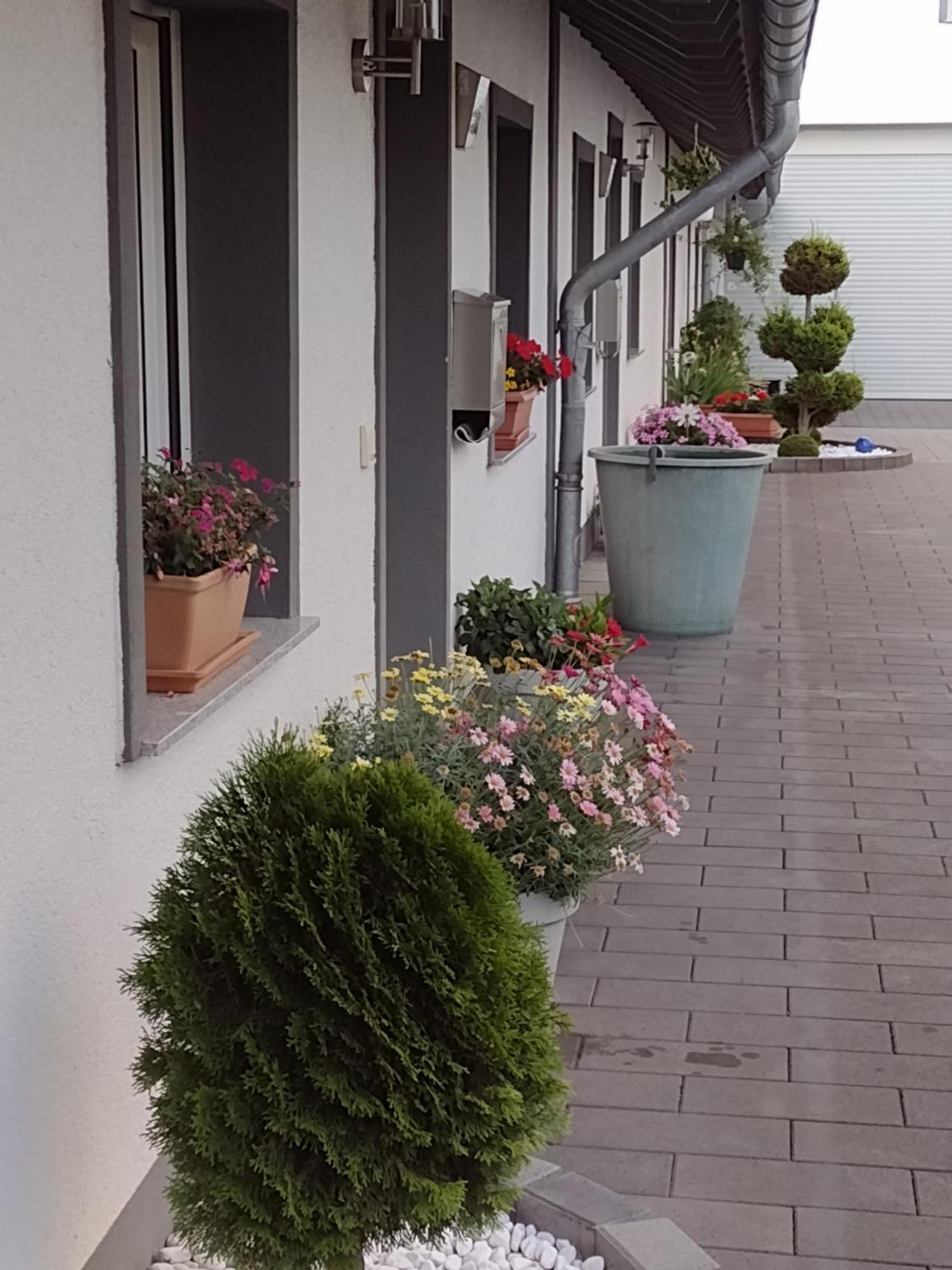 Ferienwohnung Blumenparadies Nettersheim Exterior photo